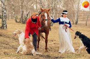 Королевские охотничьи собаки